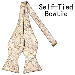 Hi-Tie Mens Suit Vest Bowtie Set Ties for Men V