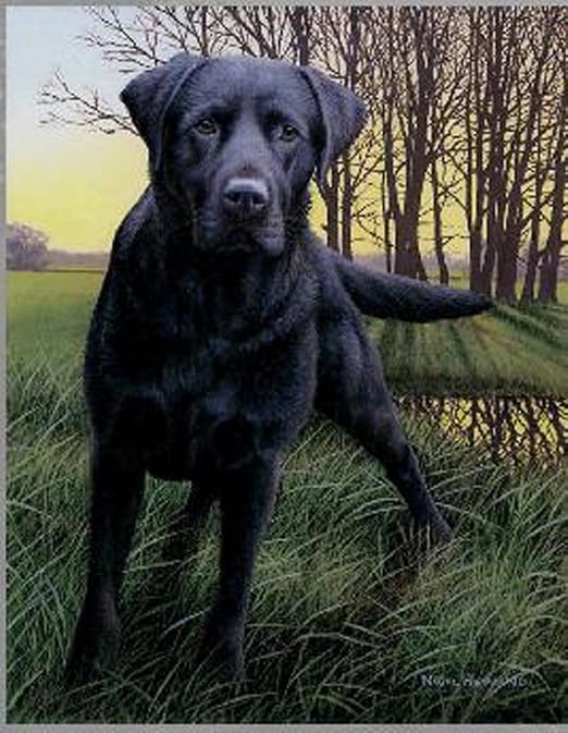 Montre Noir De Nigel Edition Ourlet Ouvert Motif Chien