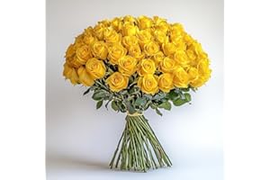 GlobalRose 100 Yellow Roses Bouquet - Responsibly Sourced Roses Fresh Flowers - Hand-Picked Flowers Fresh Bouquet for Graduation, Anniversary, Birthday & Special Occasions (4 Bunches of 25 Stems)