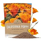 California Orange Poppy Wildflower Seeds - Bulk 1