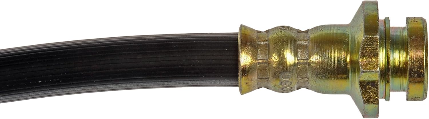 Dorman
