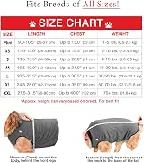 BellyGuard Dog Recovery Onesie X-Large Grey Cone Alternative view 3