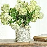 Ronasip Vintage Floral Chinoiserie Ceramic Vase, 6.2” Ice Cracked Hand-Painted Pastel Green Botanical Design, Antique Style Home Decor (Green, 6.2”x5.2”)