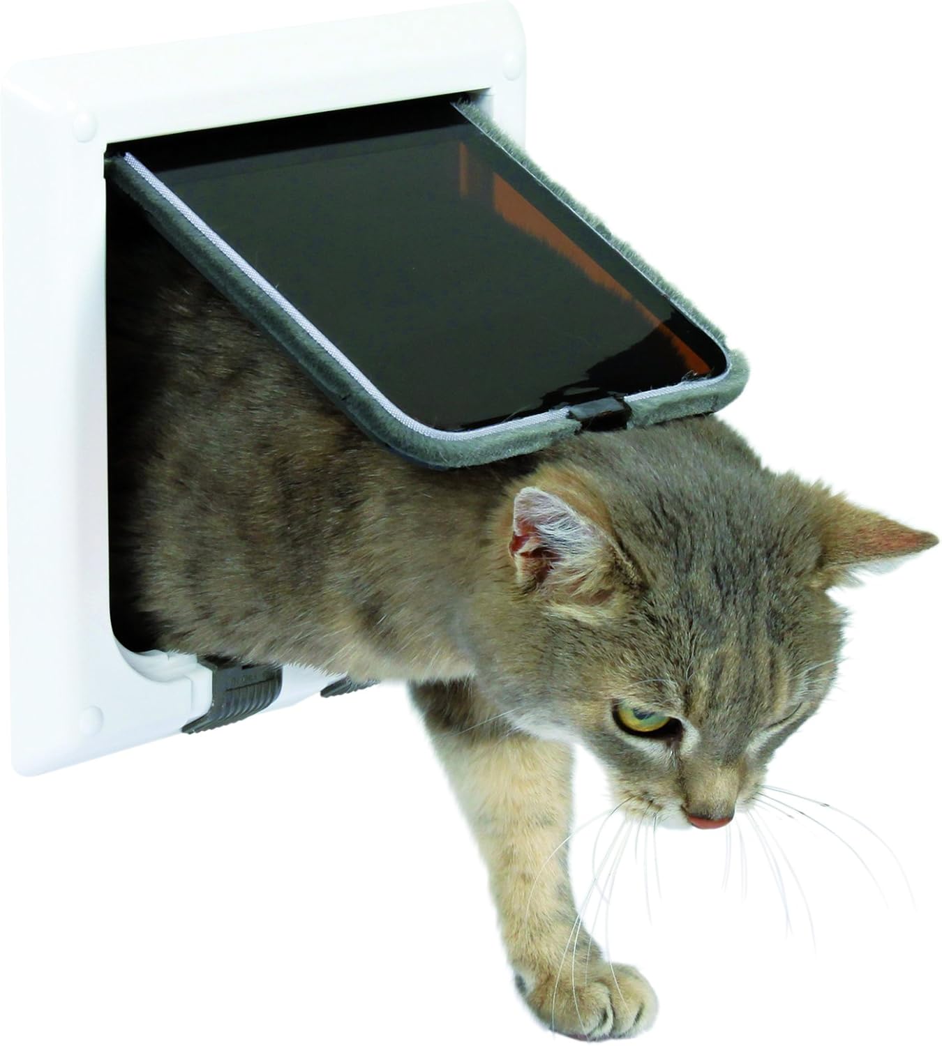 Trixie 4Way Cat Flap Amazon.co.uk Pet Supplies