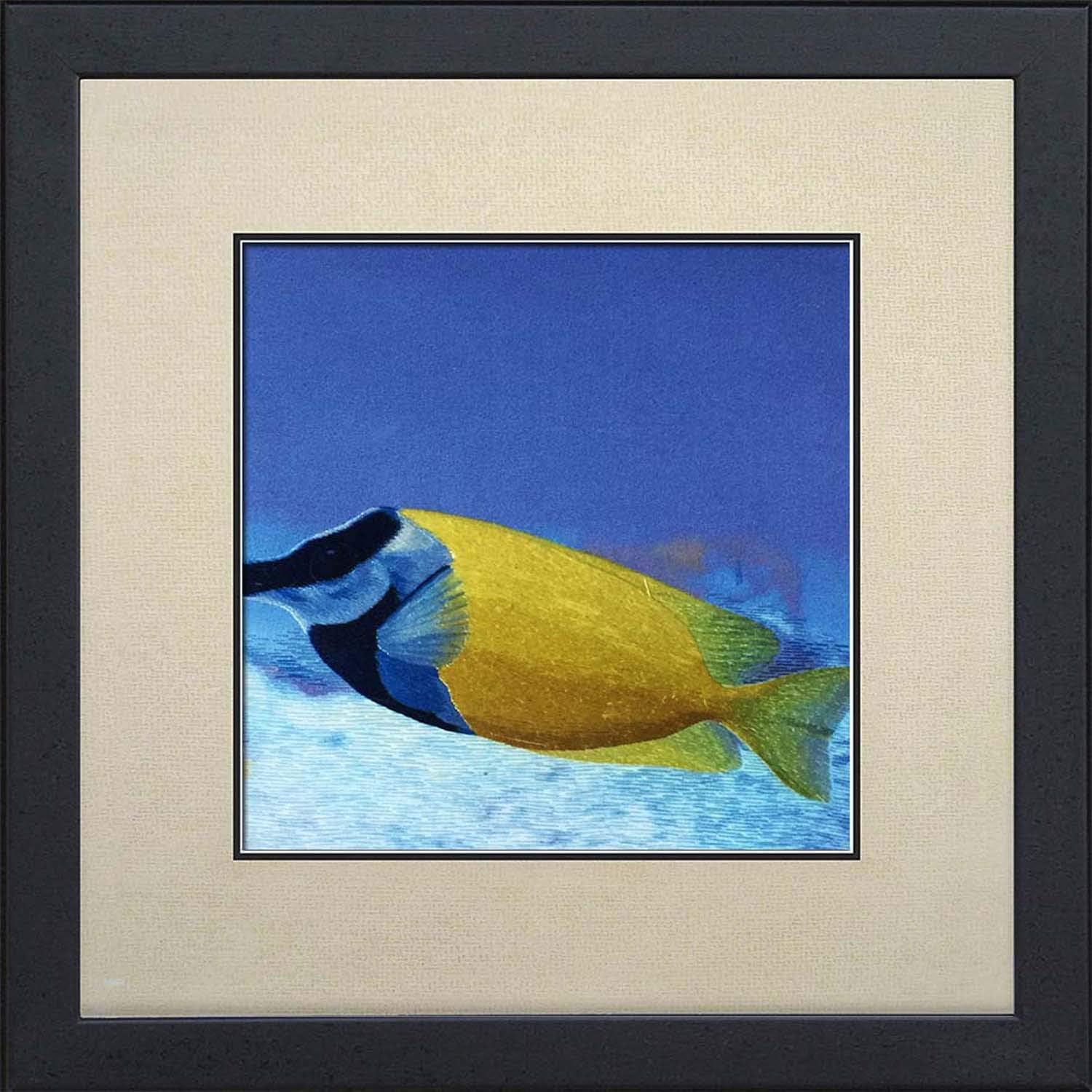 King Silk Art 100% Handmade Embroidery Framed 13 inch x 13inch, Goldfish Oriental Wall Hanging Art Asian Decoration Artwork Picture as Thanksgiving Day Gifts 39023WF