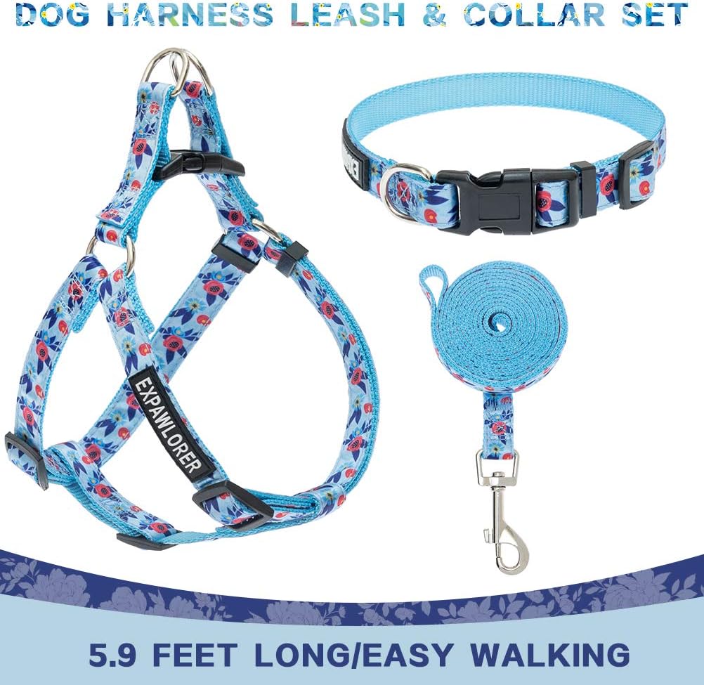 Pet Supplies : EXPAWLORER No Pull Dog Harness and Leash Set with Collar - Heavy Duty & Adjustable Basic Harness for Small Medium Dogs & Cats : 