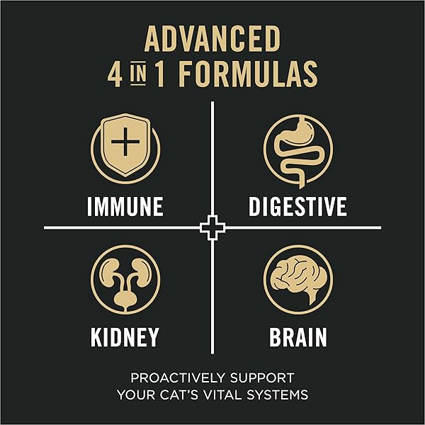 PURINA PRO PLAN VITAL SYSTEMS TURKEY WET CAT FOOD PATE 4-IN-1 BRAIN, KIDNEY, DIGESTIVE AND IMMUNE FORMULA – (PACK OF 24) 3 OZ. CANS