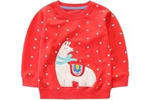 Hongshilian Unisex Kids Cute Cartoon Cotton Sweater Shirt
