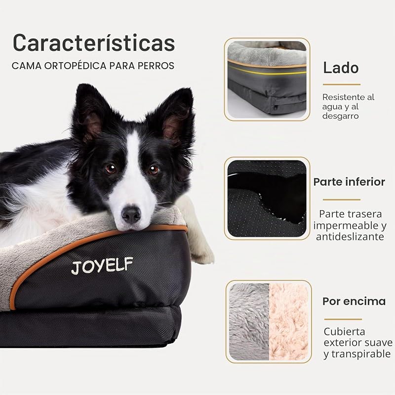 Large Cama de Espuma viscoelástica para Perros, Cama ortopédica para Perros y sofá con Funda extraíble Lavable y Juguetes chirriadores como Regalo