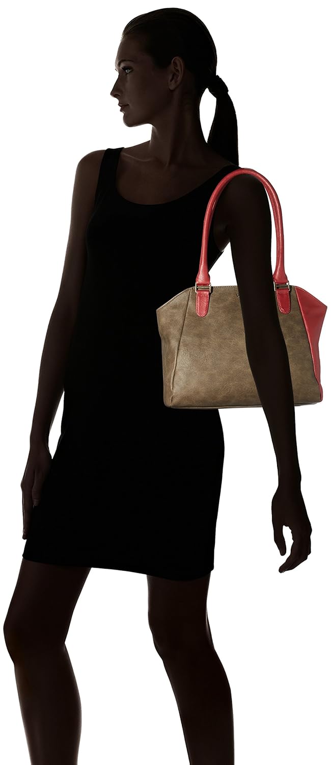 baggit women's tote bag (brown)