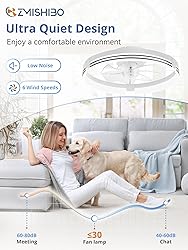 ZMISHIBO Low Profile Ceiling Fans with Lights and