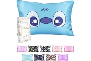 Miss Adola Silk Pillowcase for Kids - 30 x 20 Inches Queen Size Mulberry Silk Pillow Case with Zipper Cute Cartoon Kawaii Teens Girls Boys Pillowcase for Hair and Skin, Blue Eye