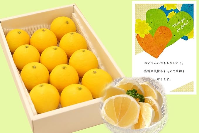 Amazon 遅れてごめんね 父の日ギフト 土佐小夏約1 7kg サイズ指定無し 約12 15玉 お父さんありがとう メッセージカード付 武田青果 Fruits Takeda 食品 飲料 お酒 通販