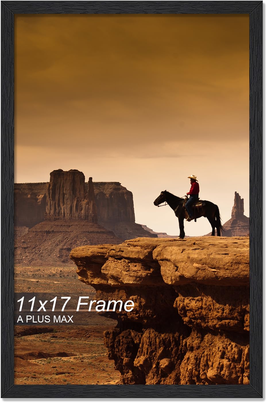 A PLUS MAX 11x17 Picture Frame Black Light Weight Wall Mount