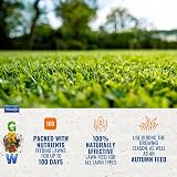 Phostrogen Organic Lawn Food 3.5kg - Balanced Feed for Thicker Lawn view 5