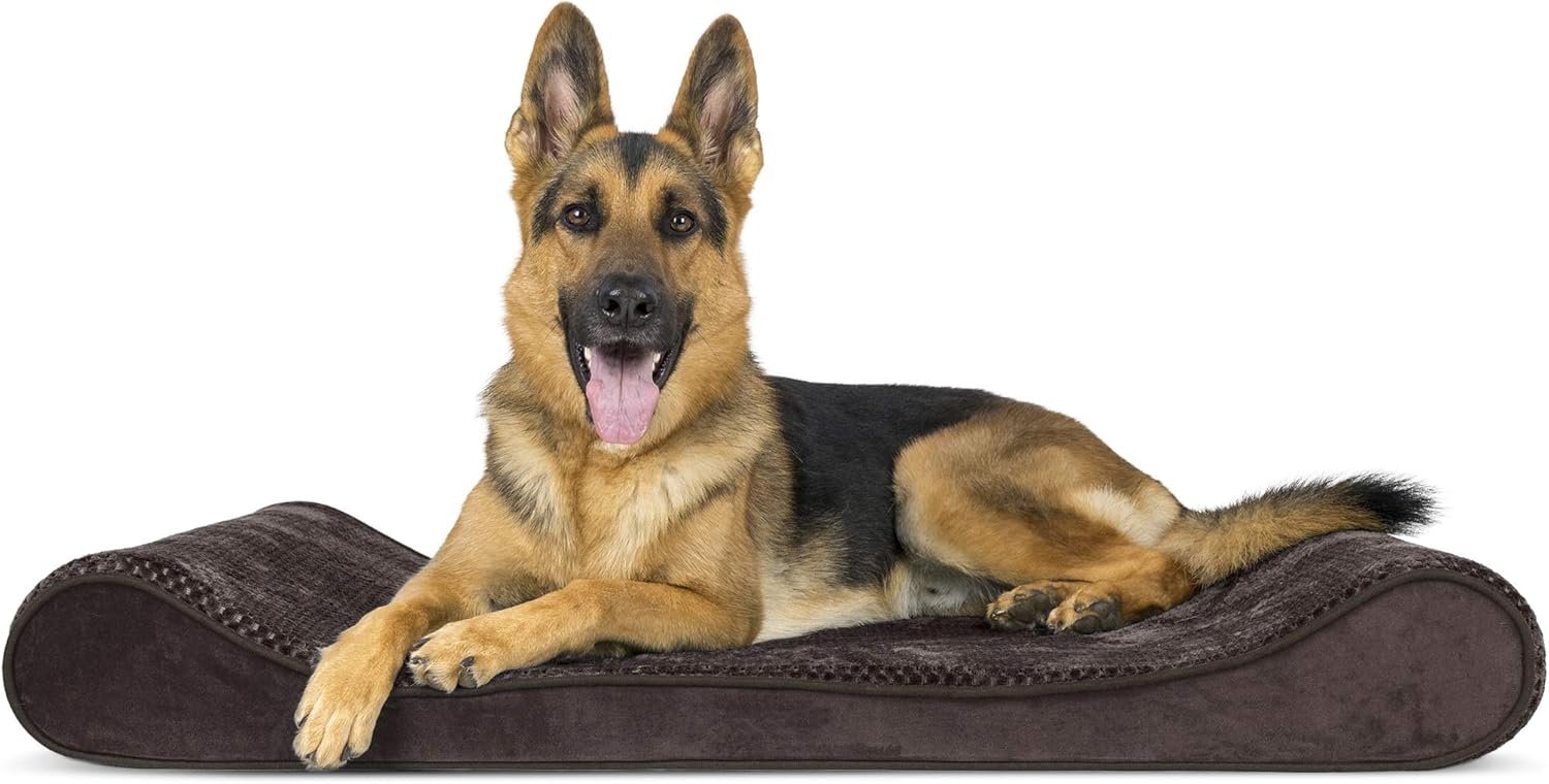 Best orthopedic pet sofa bed