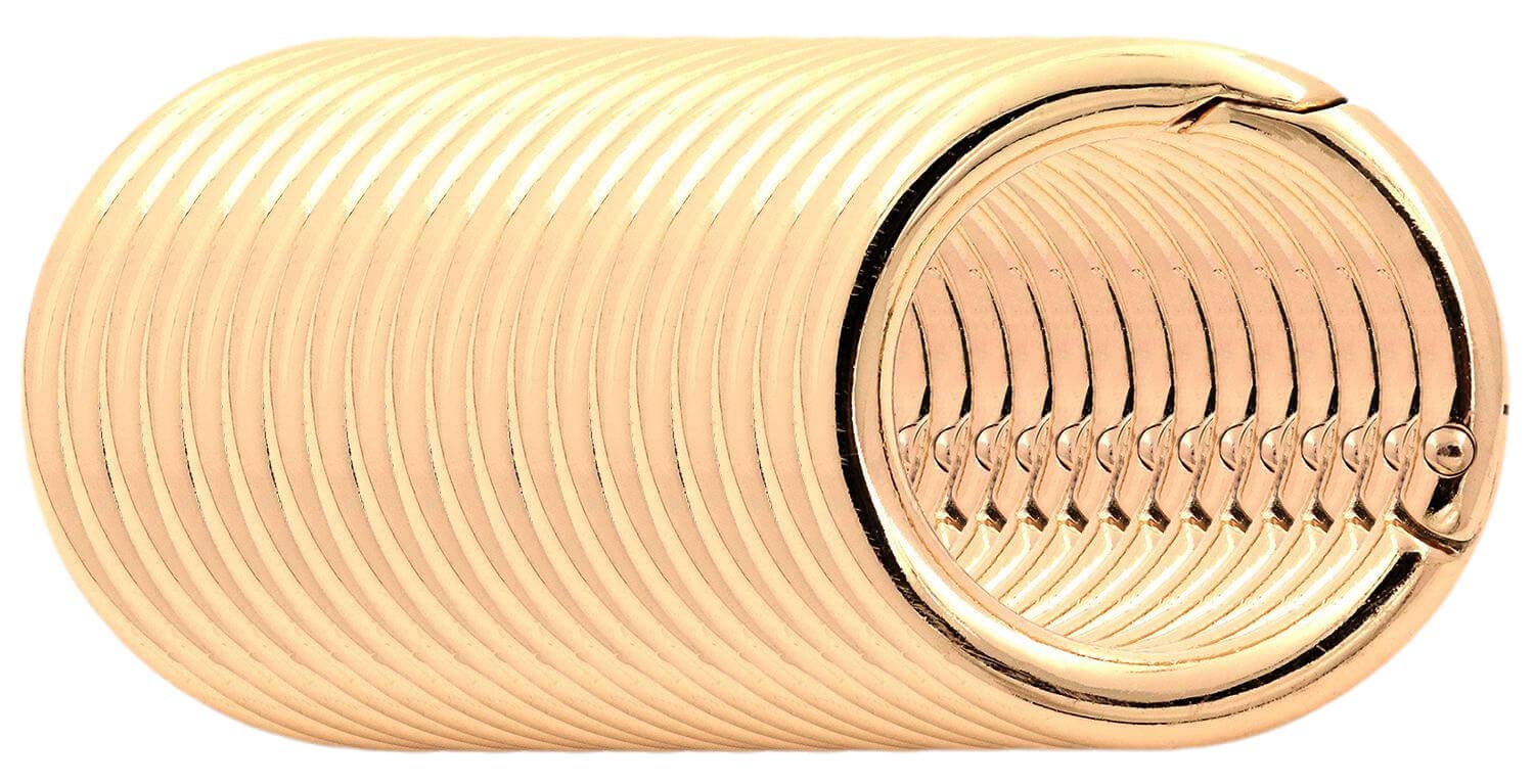 BIKICOCO 1'' Round Spring Gate O-Ring Clasp Push Snap Hook Belt Hardware Loop, for Handbags, Keys, Light Gold - 20 Pcs