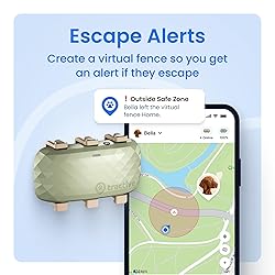Tractive XL Smart Dog GPS Tracker | Live Pet