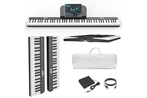 AiJoy 88 Keys Piano Keyboard with Magnetic Connection, ASP-10M Detachable Electric Piano for Beginners, Portable Digital Piano for Travel with Sensitive Keys, MIDI Support, Carry Bag