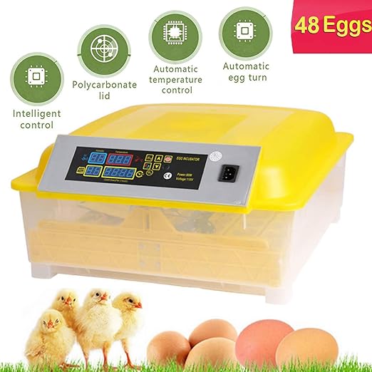 Egg Incubator Temperature Control & Humidity Control & Automatic Egg Turner,Clear Hatching for