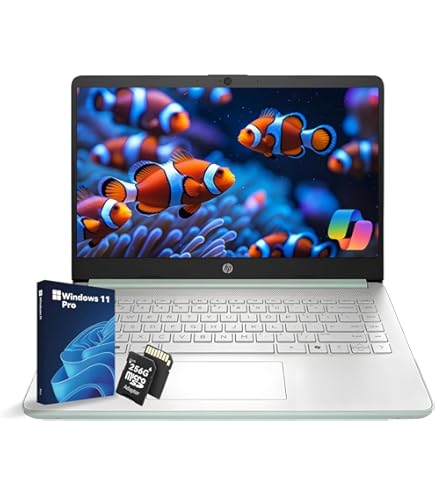 Amazon.com: HP ProBook 430 G7 13.3