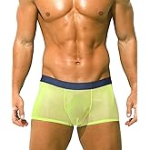 PAIZH Mens Sexy See Through Boxers Ice Silk Sheer Underwear Trunks Stretch Ultra Thin Bulge Pouch Boxer Briefs