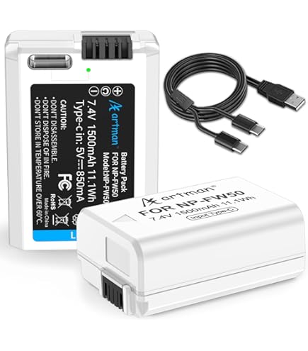 Amazon.com : Surpassed Battery Pack for Sony Alpha NEX-3, NEX-3N