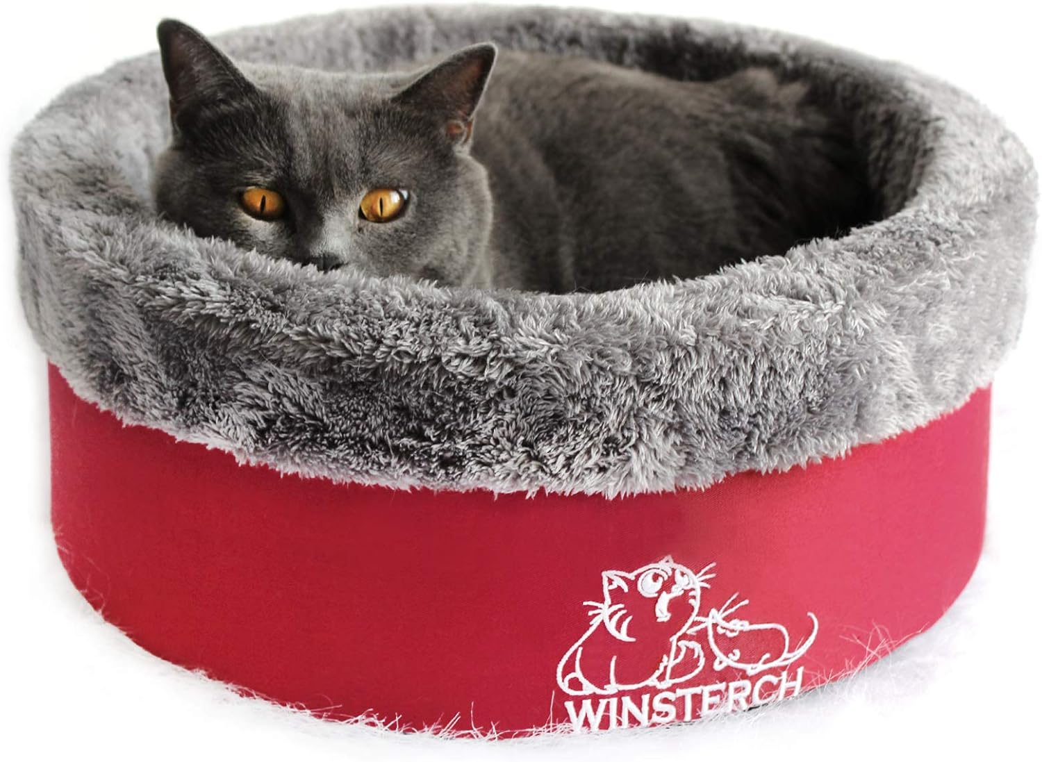 cat bed size