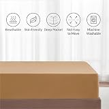 My Home Store Fitted Sheet 100% Egyptian Cotton 300TC Beige Double view 6