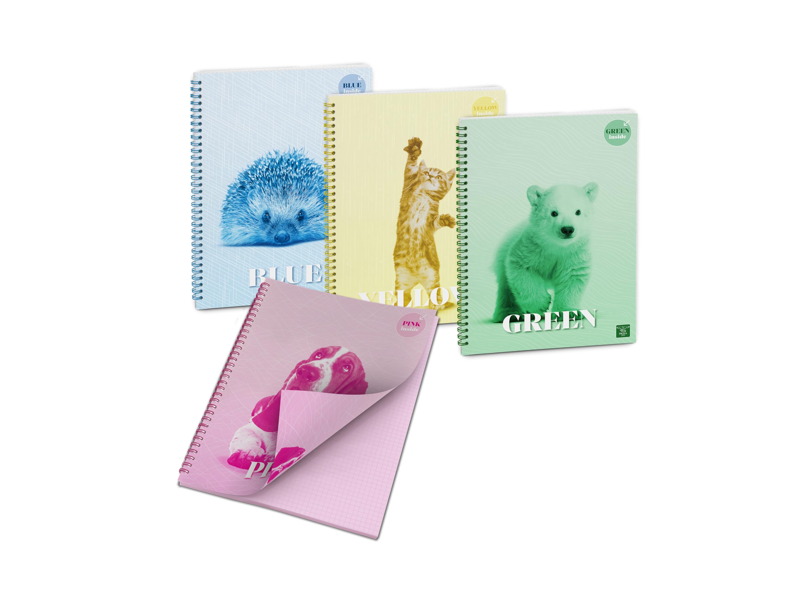 Pigna, Colour Inside Spiral Notebook with Coloured Sheets, 10 x 15 cm, 50 Sheets, 80 g/m², Squared Sheets 5 mm, Assorted Colours, Pack of 4 (4 Subjects in the Pack)