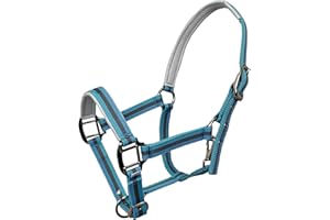 HILLTOWN JWODVNTH Adjustable Horse Halter with PP Webbing, Durable Horse Halters with Zinc Alloy Hardware, Horses Training Equipment to Prevent Friction for Training, Competitions ＆ Daily