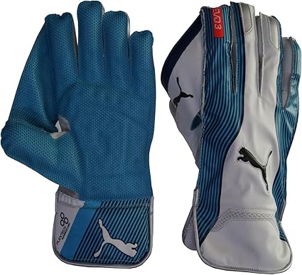 Puma evo 3 wicket keeping gloves Clearance