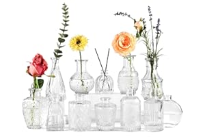 BIGIVACA Glass Bud Vases Set of 12 - Small Clear Flower Vase for Centerpieces - Mini Vintage Vases in Bulk for Wedding Decor,