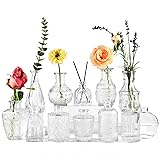 BIGIVACA Small Glass Bud Vases Set of 12,Mini Clear