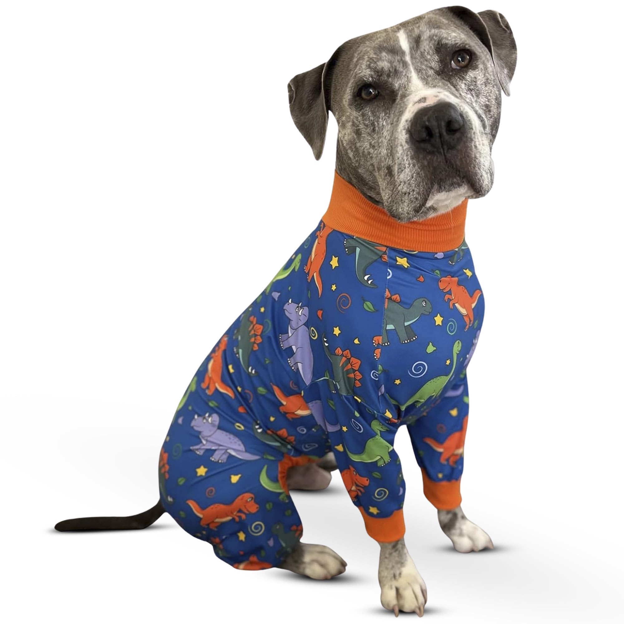 Tooth & Honey Dinosaur Dog Pajamas, Medium, 30-40LB Dog, Lightweight Stretchy Material, Pullover Style, Blue, Polyester Blend