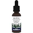 Host Defense Stamets 7 Extract - 7 Species Blend - Mushroom Supplement for Immune Support with Royal Sun Blazei, Cordyceps, Reishi, Maitake, Lion's Mane, Chaga & Mesima - 1 fl oz (30 Servings)*