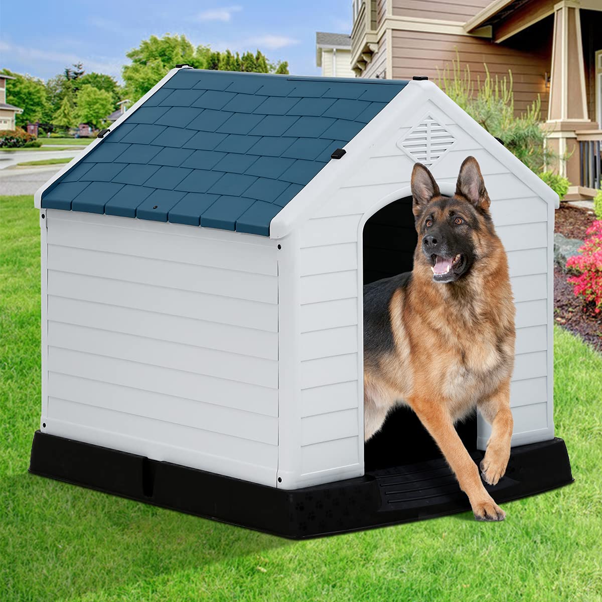 Doghouse Big House Dogs Large Duplex Single Door Dog House