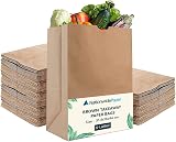 Nationwide Paper 100 Eco-friendly X-Large Kraft Paper Lunch Bags 31.4x16x44cm