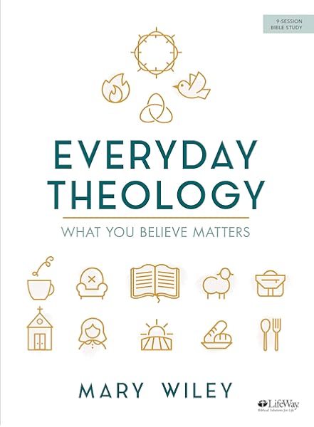Everyday Theology Bible Study Book What You Believe Matters Wiley Mary 9781535985437 Amazon Com Books