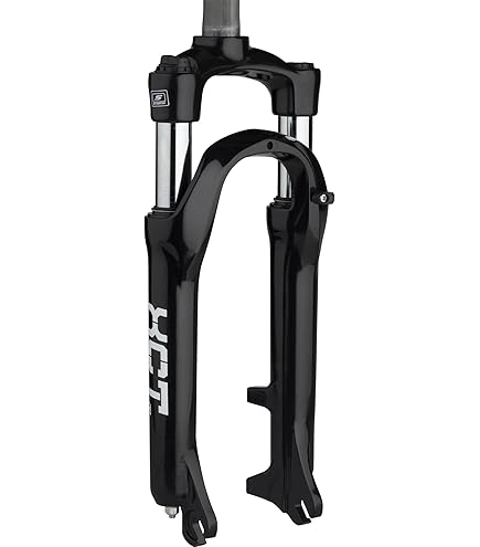 Amazon.com : SrSuntour Suspension Fork, 29 Raidon Air, 1-1/8