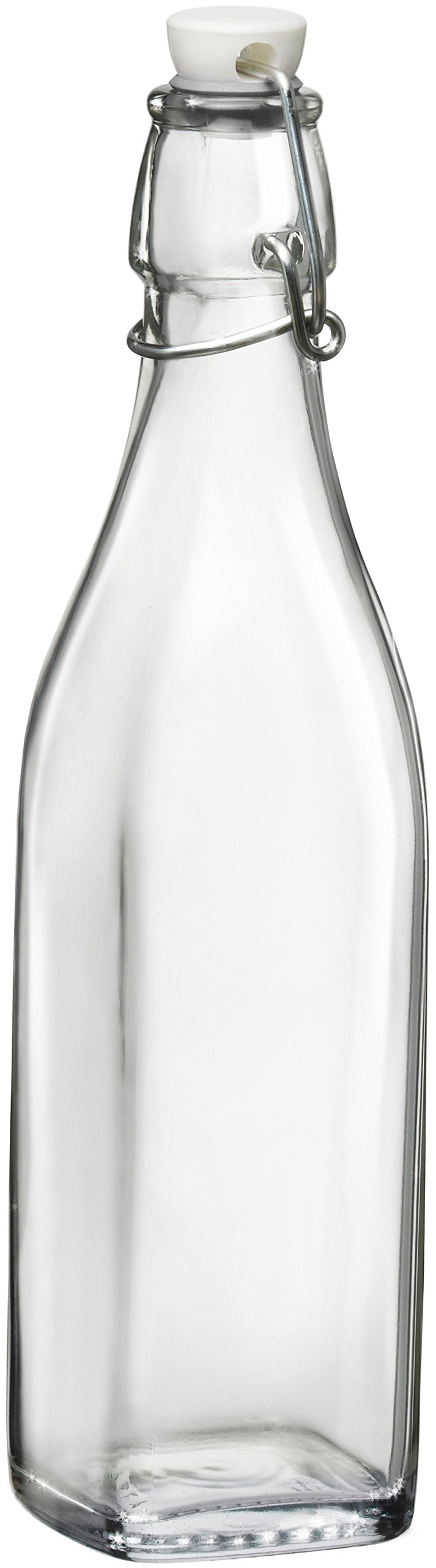 Buy Circleware Oasis Hermetic Glass Bottle with Locking Swing Top Lid
