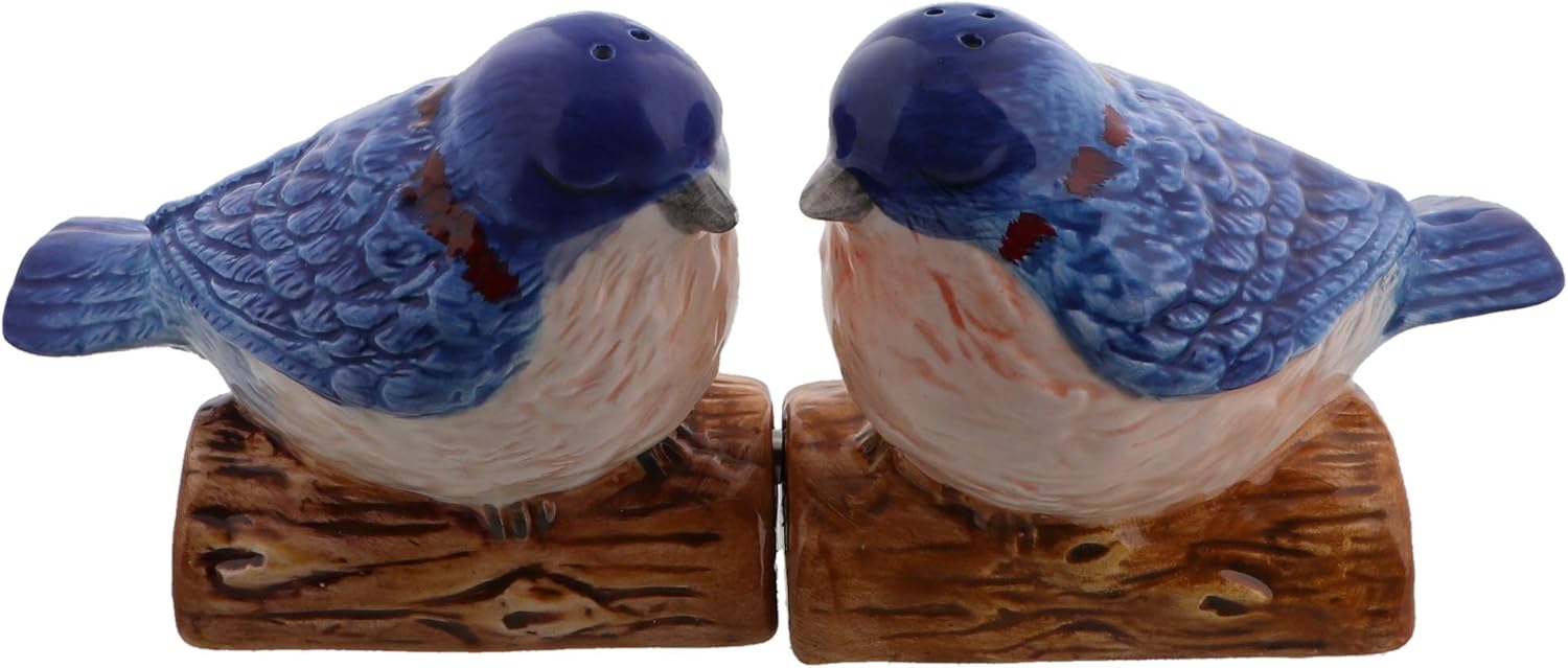 Ceramic Bird Salt and Pepper Shaker Collectors Kitchen