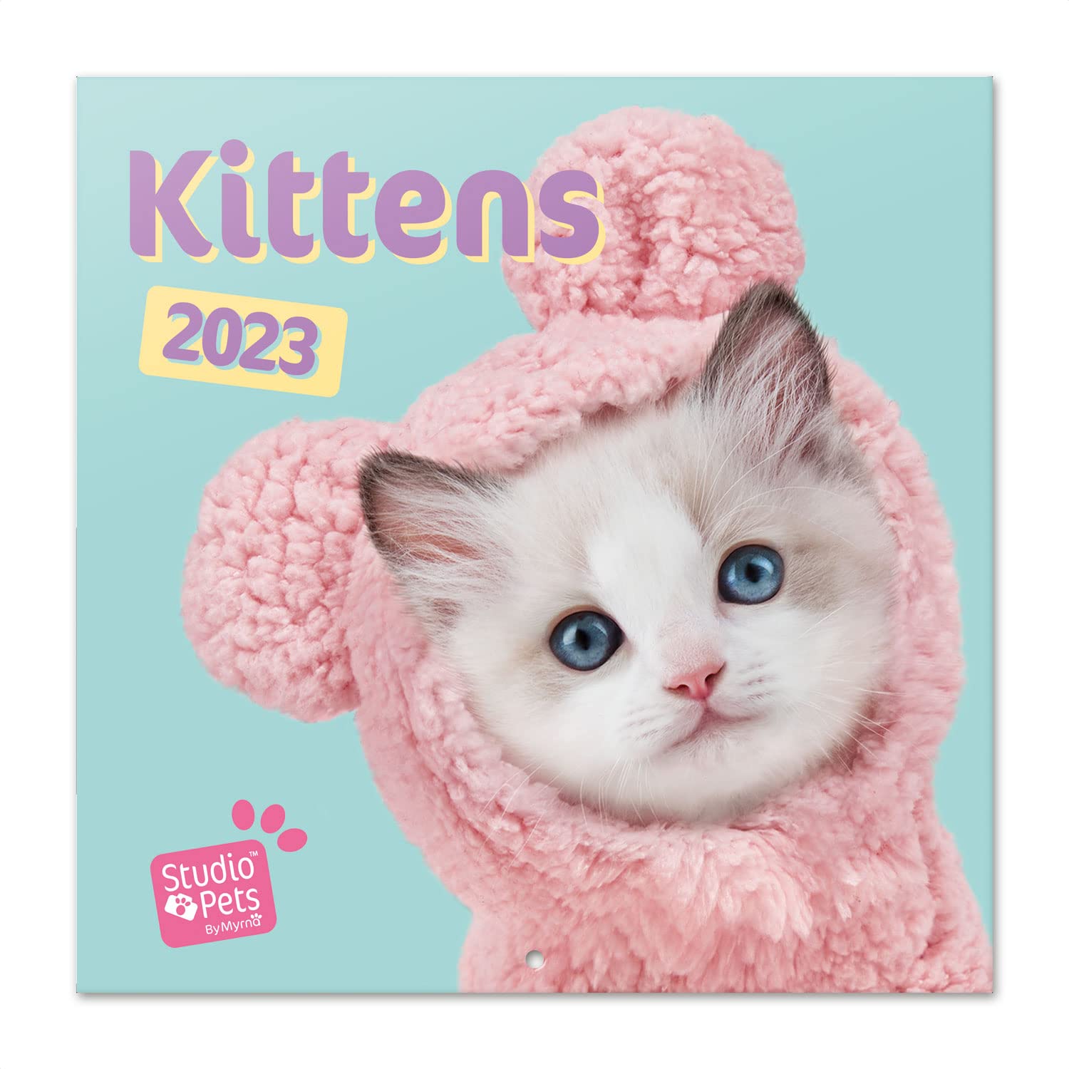 Grupo Erik Studio Pets Kittens Wall Calendar 2023 12' x 12' FSC| 12 Month Planner | Square Wall Calendar 2023 | Family Planner Calendar 2023 | Cat Calendar 2023 | + 4 Bonus Months