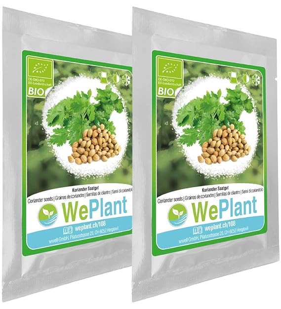 BIO Koriander Pflanzen-Samen Set - indoor/outdoor