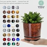 KORAD Wood Large Flower Indoor Plant Pot with Saucer 26 cm 10.2 in view 7