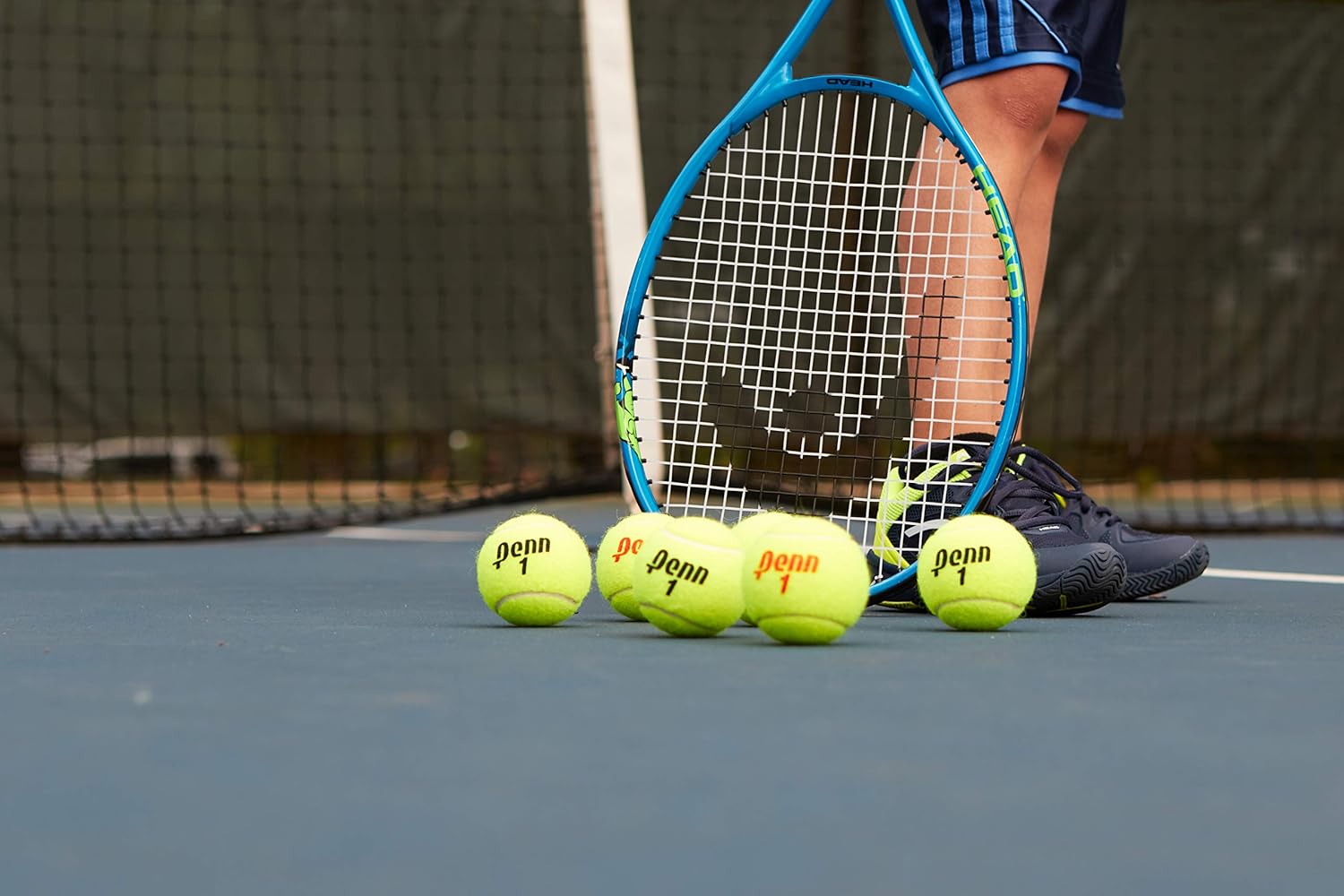 Penn Championship Tennis Balls - Regular Duty Felt Pressurized Tennis Balls - 12 Cans, 36 Balls : Sports & Outdoors