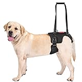 OneTigris Dog Lift Harness Dog Sling for Large Dogs