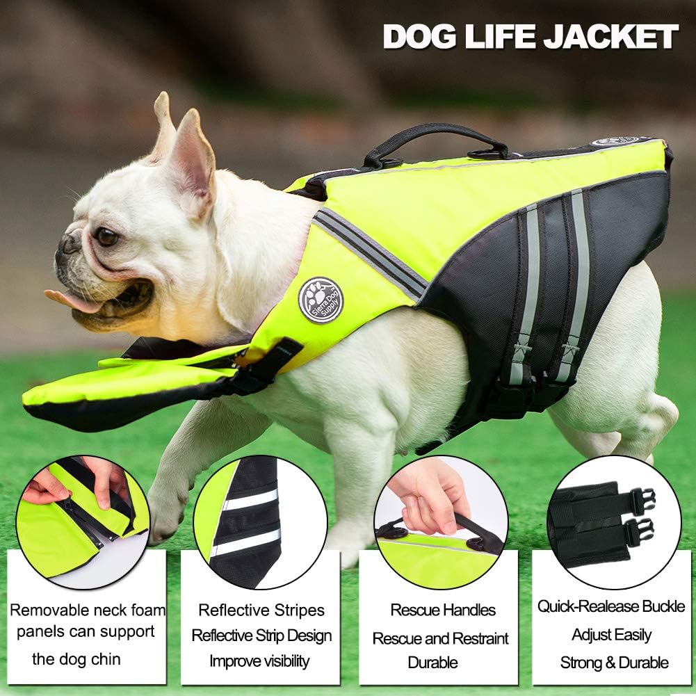 french bulldog life jacket amazon