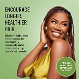 Mielle Organics Rosemary Mint Strengthening Shampoo for Dry Weak Brittle Hair view 3