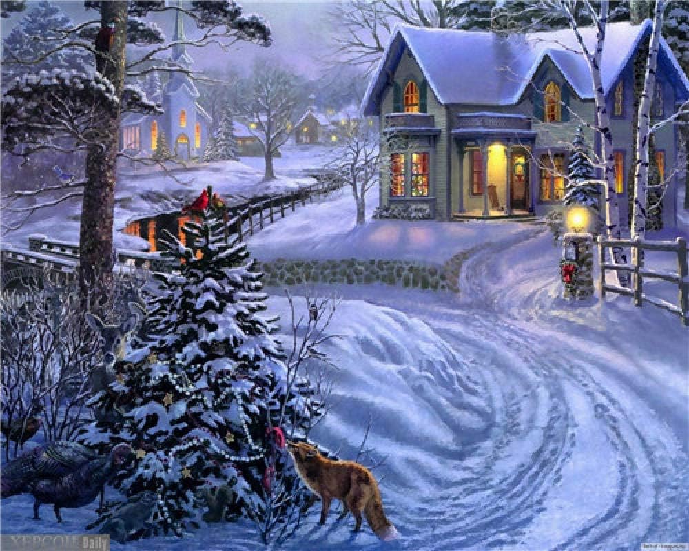 DOORWD Paint by Numbers for Adults Children Winter snow scene DIY Digital Painting by Numbers Kits on Canvas 16 * 20 inches With frame